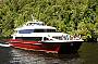 Eagle on the Gordon River