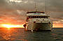 2 Day/ 1 Night Certified Dive Trip - MV Kangaroo Explorer (qualified divers only)