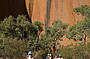 5 Day 4WD Kangaroo Dreaming Red Centre Safari